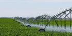 Tanzania attains 130 % food self-sufficiency as crop output surges