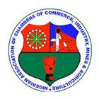 Institute to deepen economic cooperation between Nigeria, Central European region