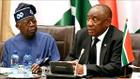 Xenophobia: CPPE warns against retaliation, calls for diplomatic engagement
