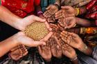 More revenue, more hunger: Where is Nigeria’s fiscal dividend?