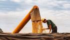 Iran develops plant-based alternatives to chemical pesticides